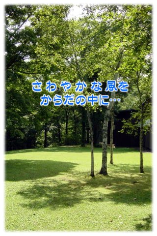 ����₩�ȕ������炾�̒��Ɂc