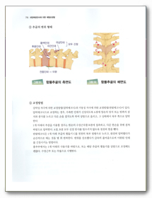 『内臓体壁反射による異常観察と調整テクニック/概論』の韓国語版
